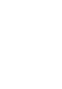 Ripley - Cliente de Reyes IA